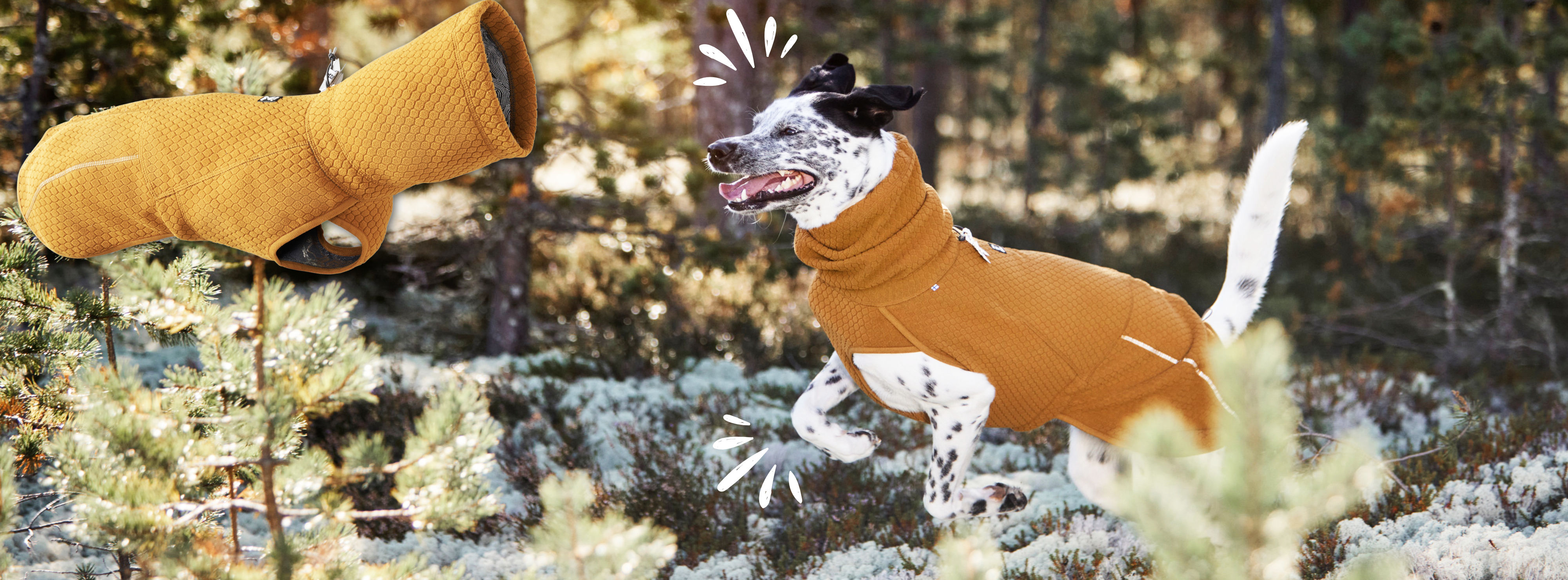 Hurtta Deutschland - offizieller Webshop für Hurtta Hundeartikel