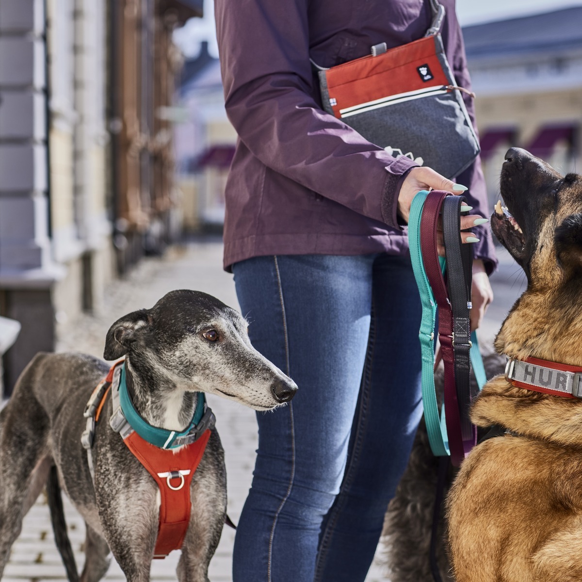 Hurta Hurtta Rover Collar Peacock | Abenteuerhalsband für große Hunde