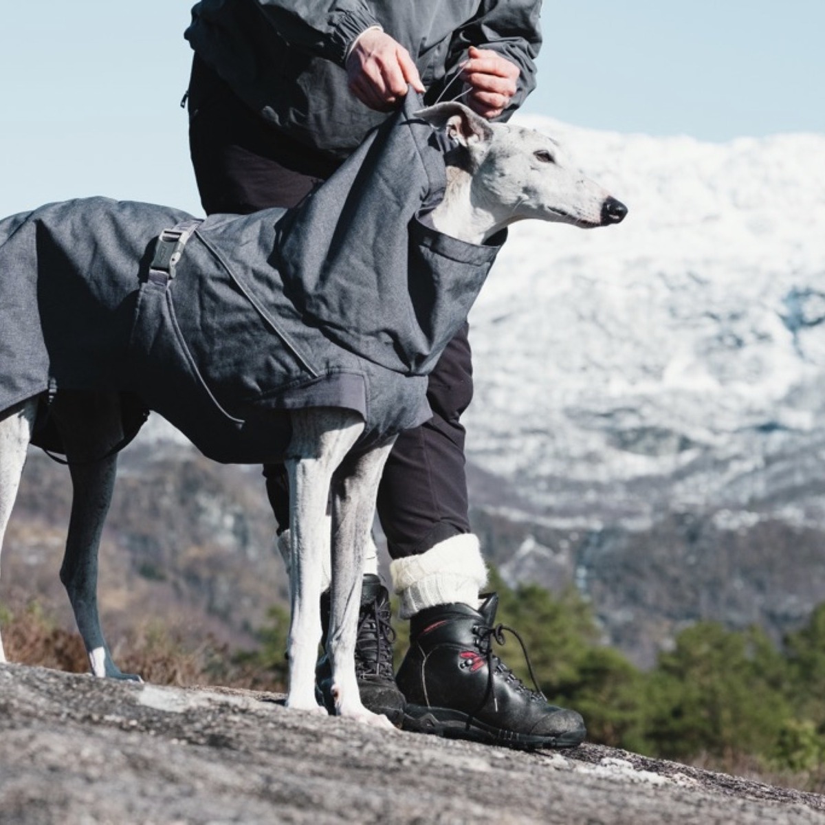 Hurtta Expedition Parka | Honden | Bestellen