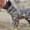 Hurtta Razzle-Dazzle Midlayer Jas voor honden, verstelbaar, omkeerbaar, pull on, te gebruiken onder regenjassen en winterjassen - BlackBerry/grijs-groen, 65 cm
