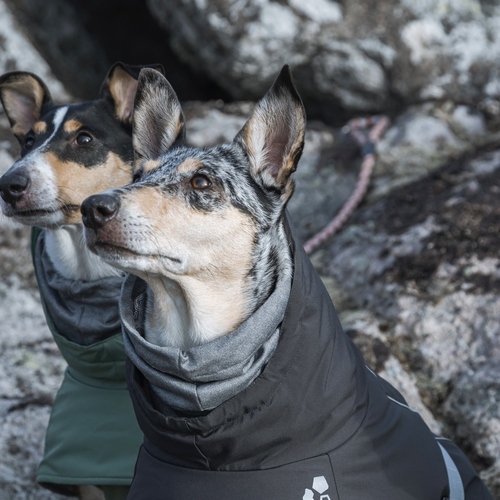 Hurtta Extreme Warmer Hundemantel – Mit Wärmereflexions-Futter, Größe 40, Rot